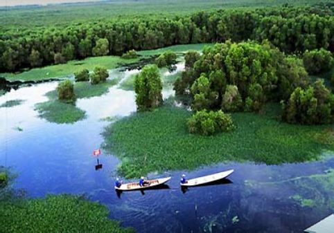 u-minh-ha-national-park-mekong-delta-vietnam-3